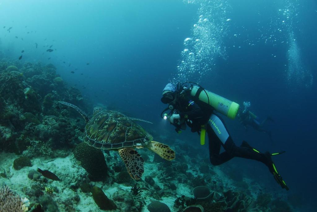 Badian Island Wellness Resort Luaran gambar
