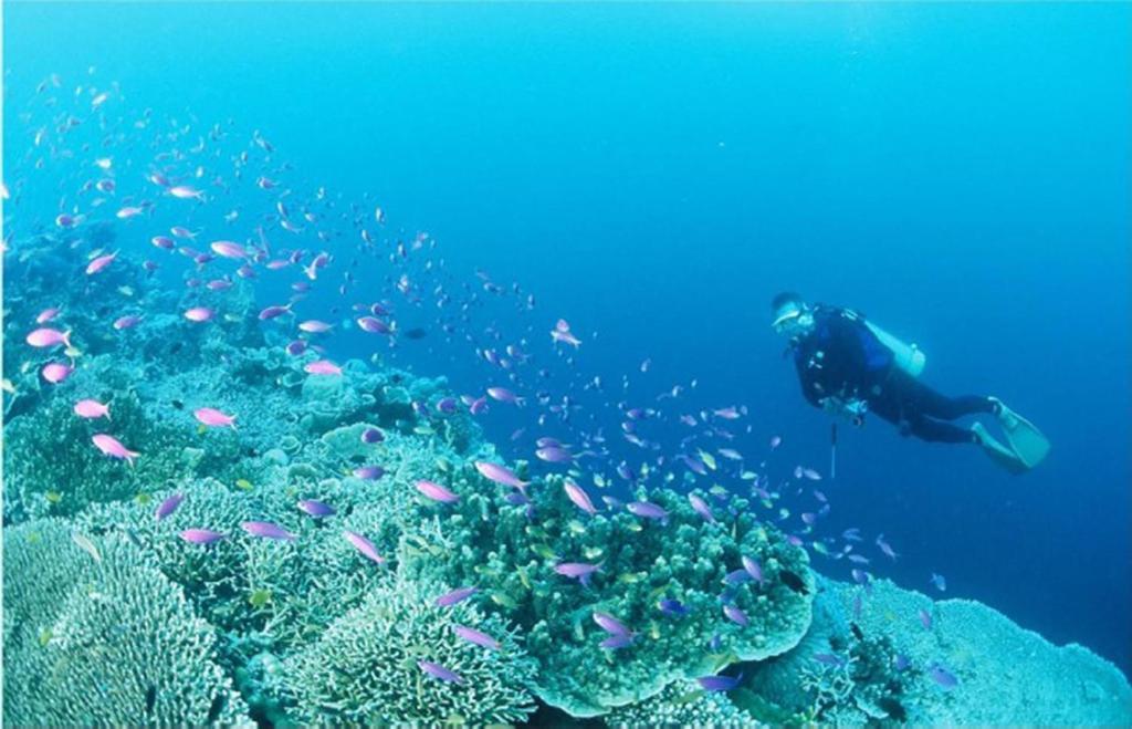 Badian Island Wellness Resort Luaran gambar