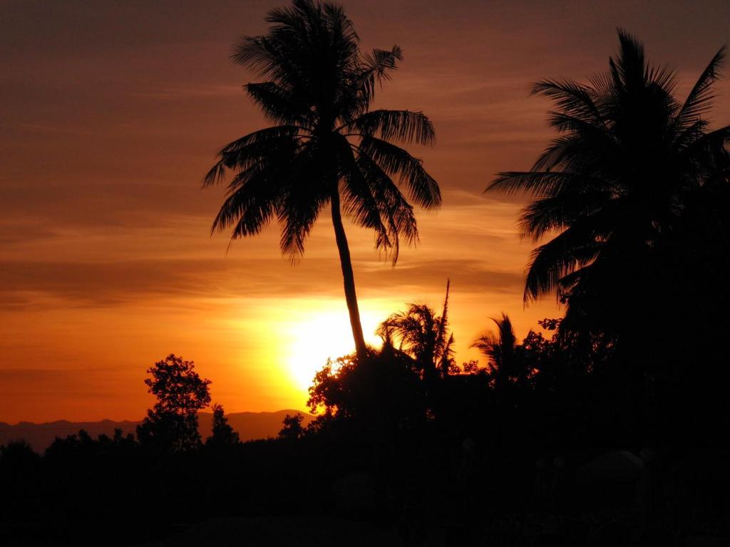 Badian Island Wellness Resort Luaran gambar